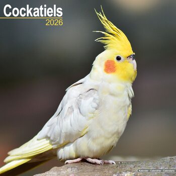 Kalender 2027 Cockatiels