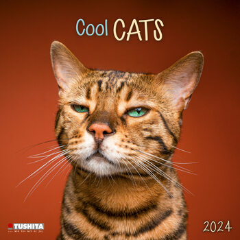 Kalender 2027 Cool Cats