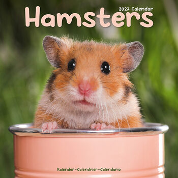 Kalender 2027 Hamstere