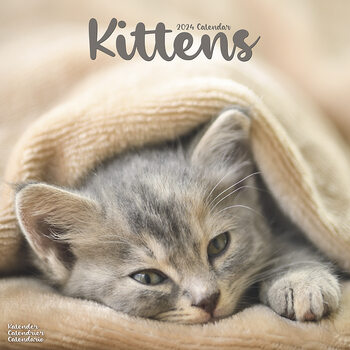 Kalender 2024 Kittens