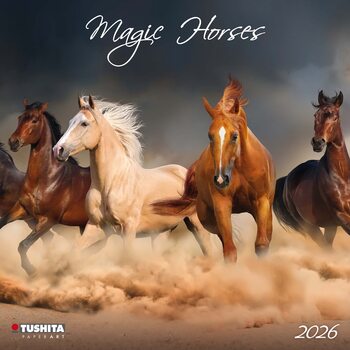 Kalender 2027 Magic Horses