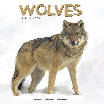 Kalender 2027 Wolves