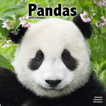 Pandas Kalender 2020