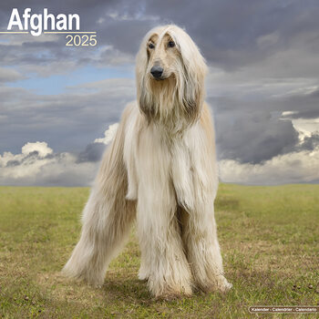 Kalender 2027 Afghan