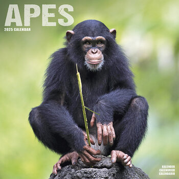 Kalender 2027 Apes