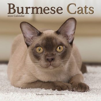 Kalender 2027 Burmese