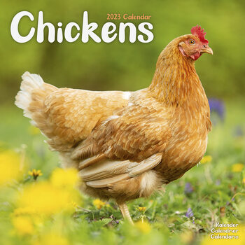 Kalender 2023 Chickens