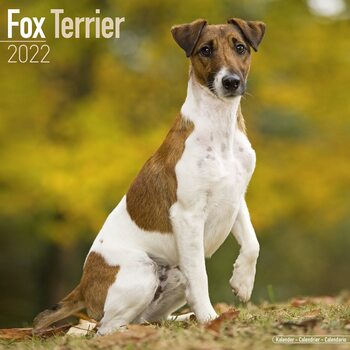 Kalender 2027 Fox Terrier
