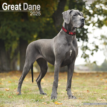 Kalender 2027 Great Dane