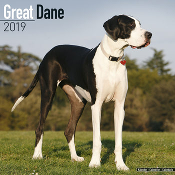 Kalender 2027 Great Dane