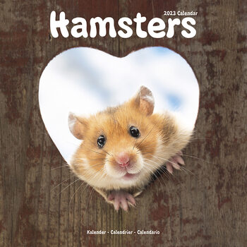 Kalender 2027 Hamsters