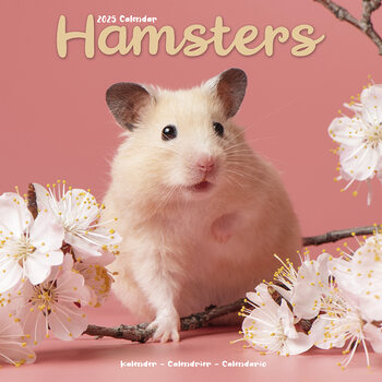 Kalender 2027 Hamsters