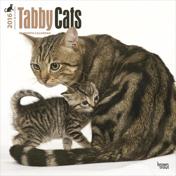 Kalender 2027 Katten 3