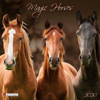 Kalender 2027 Magic Horses