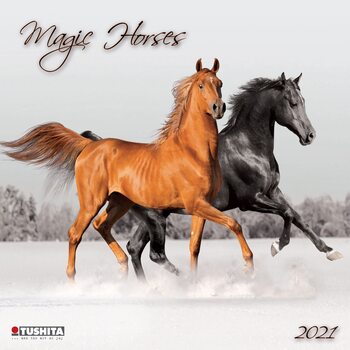 Kalender 2027 Magic Horses