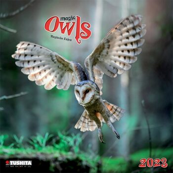 Kalender 2027 Magic Owls