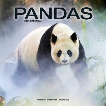 Kalender 2027 Pandas