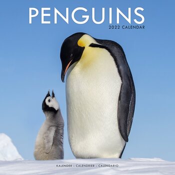 Kalender 2027 Penguins