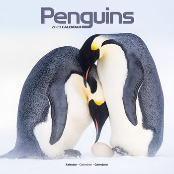 Kalender 2027 Penguins