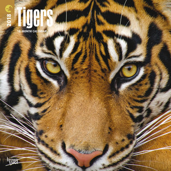 Kalender 2027 Tigers