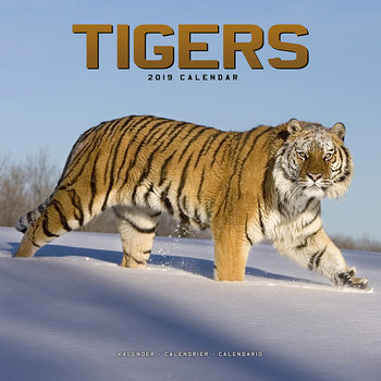 Kalender 2027 Tigers
