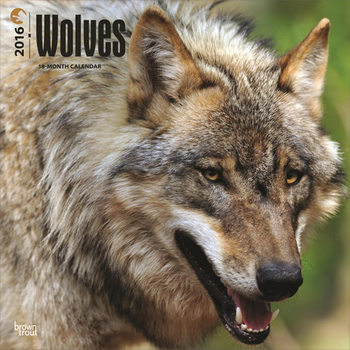 Kalender 2027 Wolven
