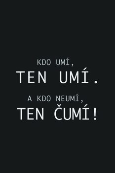 Obraz na plátně Kdo umí, ten umí.