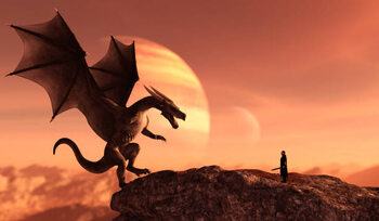 Samolepka Knight and the dragon