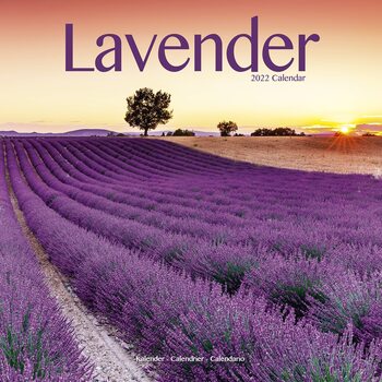 Lavender Koledar 2022