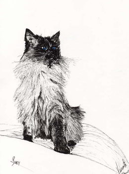 Baby, 2008, Kunsttrykk