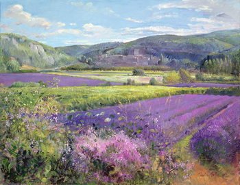 Lavender Fields in Old Provence Kunsttrykk