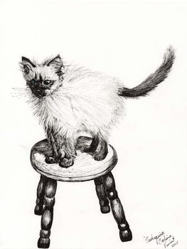 Pudsquiz Belina, 2015, Kunsttrykk