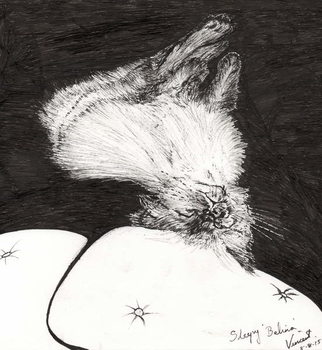 Sleepy Belina, 2015, Kunsttrykk