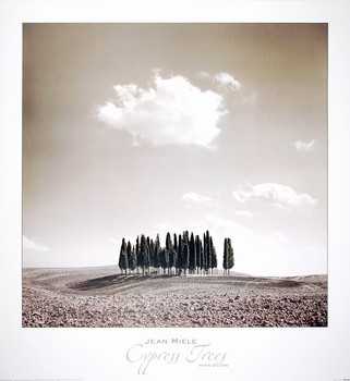 Kunsttrykk Cypress Trees