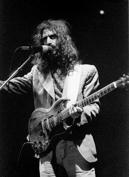 Billede på lærred Frank Zappa, 1974