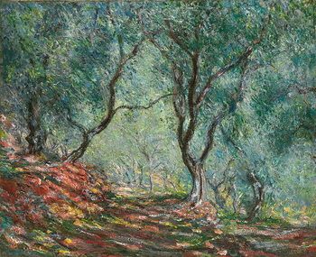 Billede på lærred Olive Trees in the Moreno Garden; Bois d'oliviers au jardin Moreno