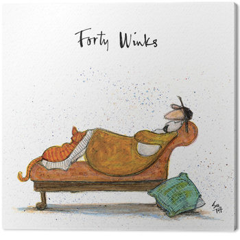 Sam Toft - Forty Winks Billede på lærred