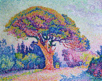 Billede på lærred The Pine Tree at St. Tropez, 1909