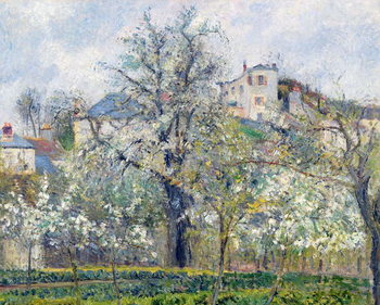 Billede på lærred The Vegetable Garden with Trees in Blossom, Spring, Pontoise