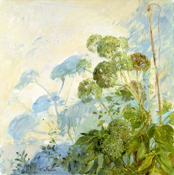 Billede på lærred Angelica Shadows