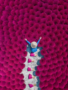 Billede på lærred Drone image directly above a Vietnamese