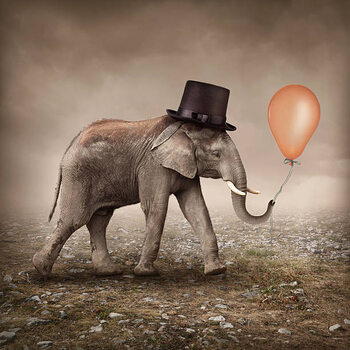 Billede på lærred Elephant with a balloon