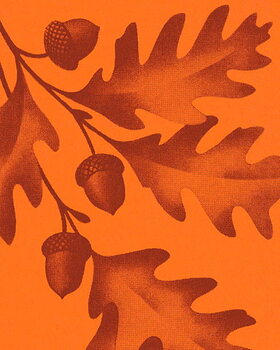 Billede på lærred Fall Leaves and Acorns