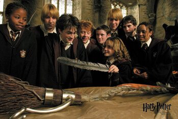 Billede på lærred Harry Potter - Firebolt racing
