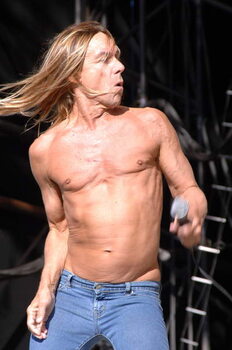 Billede på lærred Iggy Pop - portrait