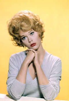 Billede på lærred Jane Fonda