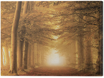 Billede på lærred Lars Van De Goor - Autumn Feelings