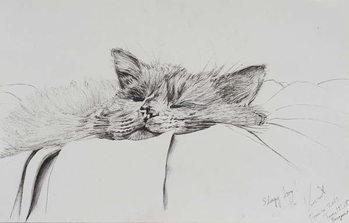 Billede på lærred Monty sleepy boy, 2013,