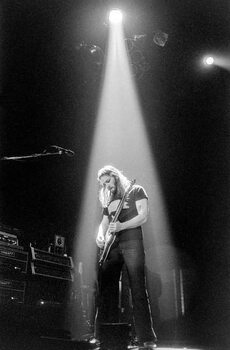 Billede på lærred Pink Floyd, 1977
