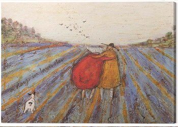 Billede på lærred Sam Toft - A Day in Lavender